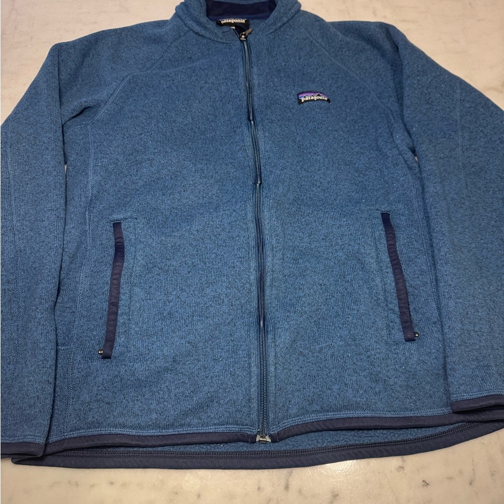 Patagonia Blue Full-Zip Lightweight Fleece Jacket